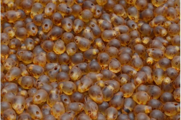 Drop Beads 4x6mm - Image 1