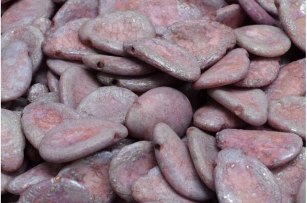 Anemone Petal Beads 11x16mm - Image 1