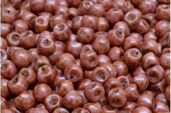 Mushroom Button Beads 6x5mm - Image 1