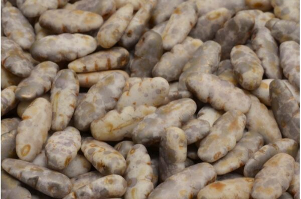 Serrated Dagger Beads 6x13mm - Image 1