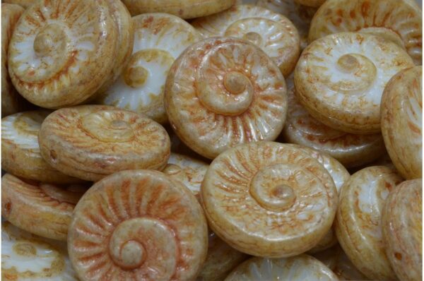 Fossil Shell Beads 18x18mm - Image 1