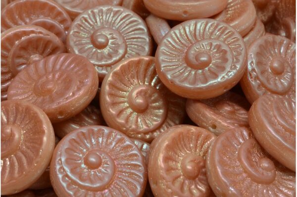 Fossil Shell Beads 18x18mm - Image 1