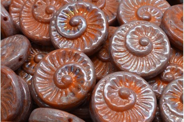 Fossil Shell Beads 18x18mm - Image 1