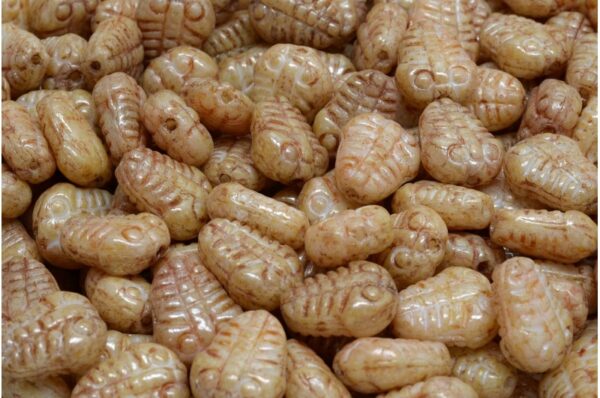 Trilobite Beads 10x8mm - Image 1