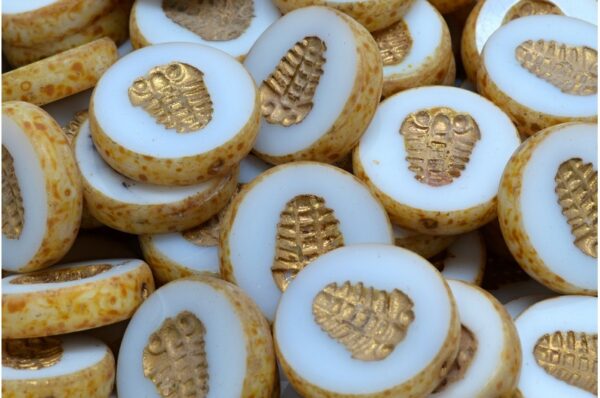 TCB Trilobite Beads 17x17mm - Image 1