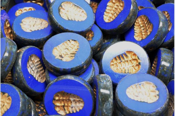 TCB Trilobite Beads 17x17mm - Image 1