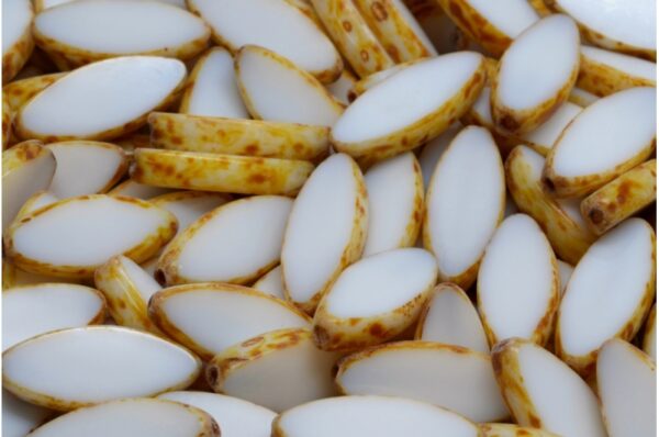 TCB Ship Flat Beads 18x7mm - Image 1