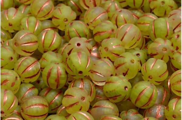 Melon Beads 8x8mm - Image 1
