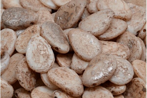 Anemone Petal Beads 11x16mm - Image 1