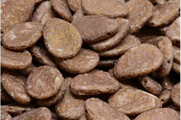 Anemone Petal Beads 11x16mm - Image 1