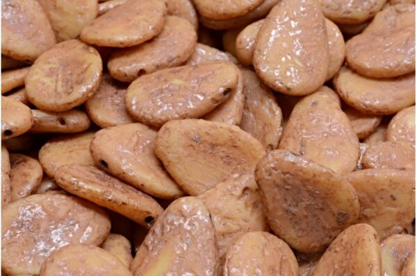 Anemone Petal Beads 11x16mm - Image 1