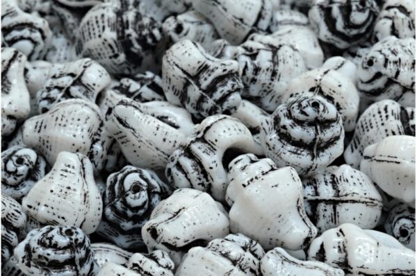 Murex Shell Beads 15x12mm - Image 1