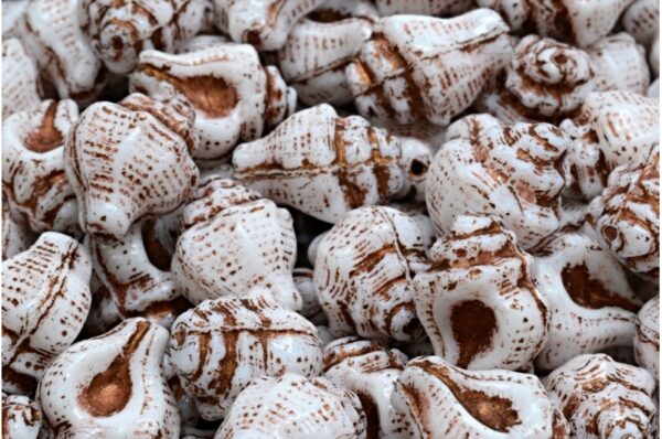 Murex Shell Beads 15x12mm - Image 1