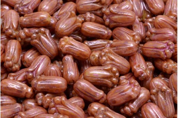 Tulip Bud Beads 12x8mm - Image 1