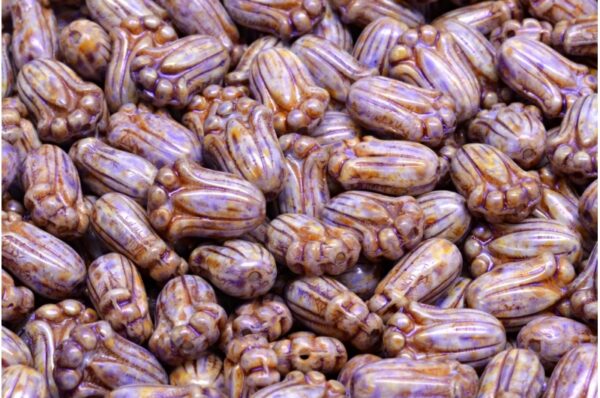 Tulip Bud Beads 12x8mm - Image 1