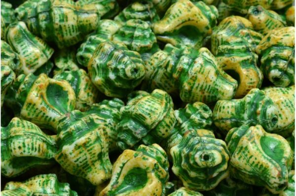 Murex Shell Beads 15x12mm - Image 1