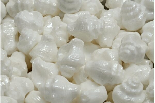 Murex Shell Beads 15x12mm - Image 1