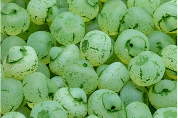 Pear Beads 12x12mm - Image 1