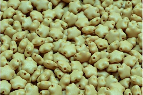 Flat Star Beads 6x6mm - Image 1