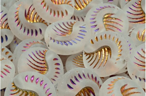 Fossil Coin Beads 19x19mm - Image 1