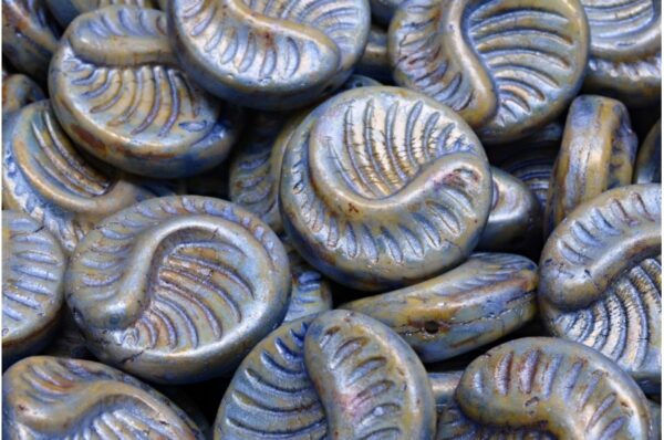 Fossil Coin Beads 19x19mm - Image 1