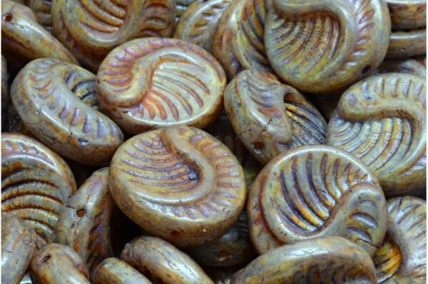 Fossil Coin Beads 19x19mm - Image 1