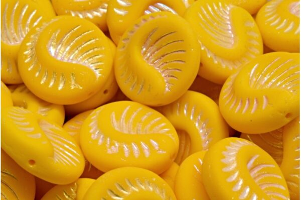 Fossil Coin Beads 19x19mm - Image 1