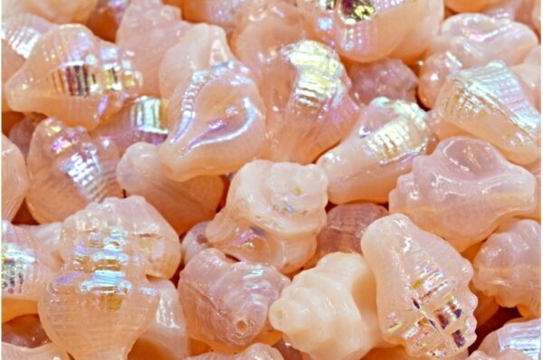 Murex Shell Beads 15x12mm - Image 1