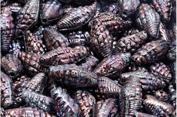 Miter Shell Beads 16x8mm - Image 1