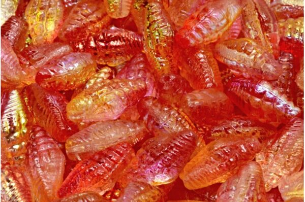 Miter Shell Beads 16x8mm - Image 1