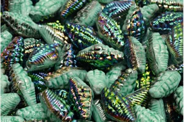 Miter Shell Beads 16x8mm - Image 1