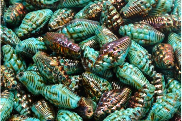 Miter Shell Beads 16x8mm - Image 1