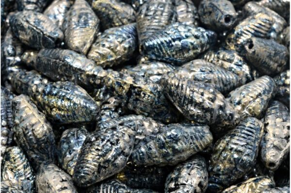 Miter Shell Beads 16x8mm - Image 1