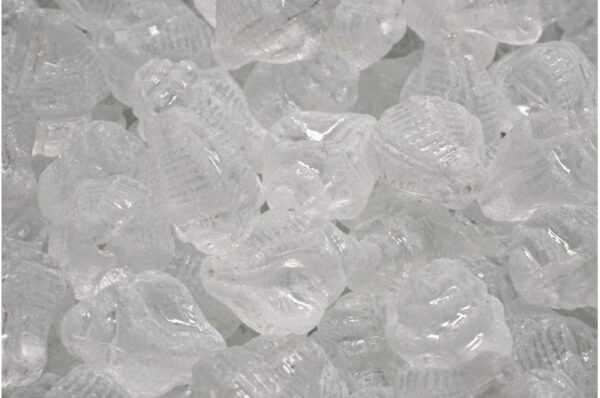 Murex Shell Beads 15x12mm - Image 1